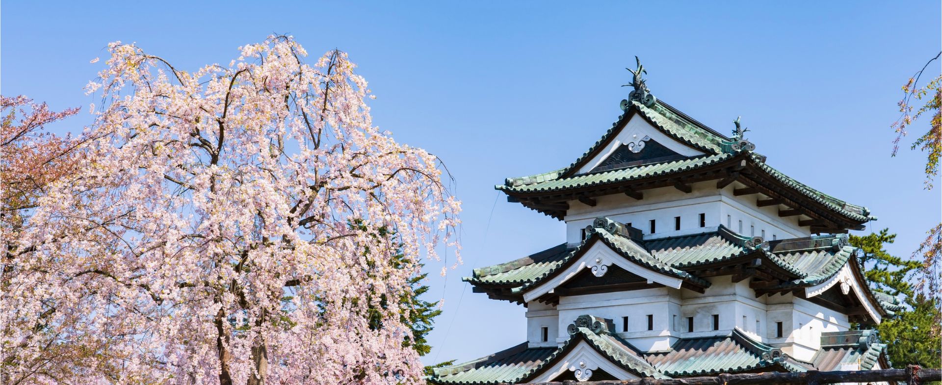 AOMORI