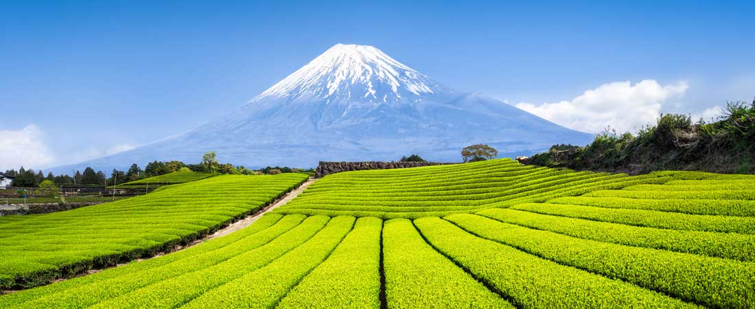 Japon - Mont Fuji