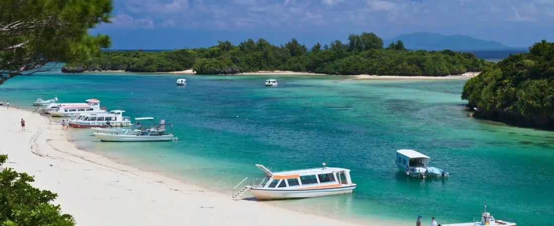 ISHIGAKI