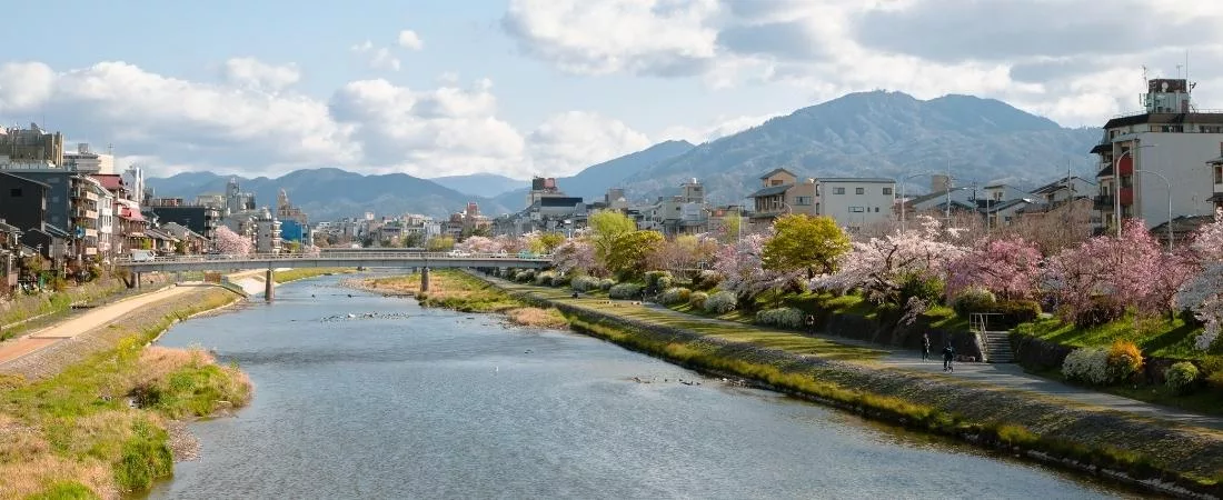 Ma tribu au Japon - 11 jours