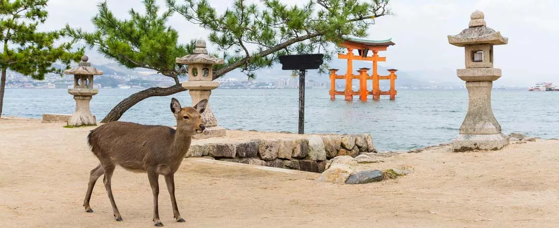 MIYAJIMA