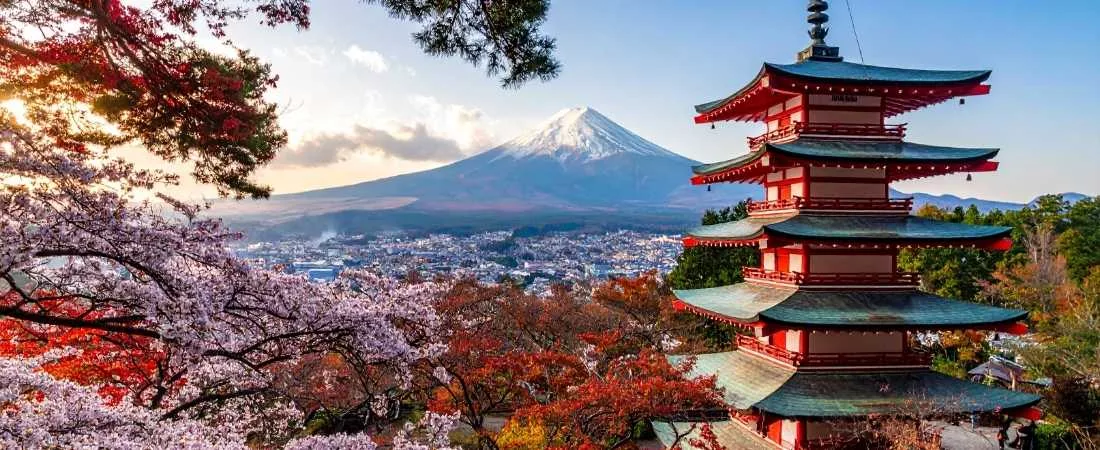 MONT FUJI