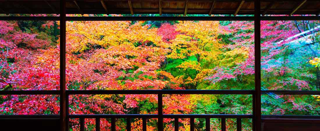 Luxe, calme et volupté au Japon, 11 jours